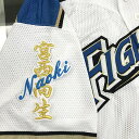 納期注意【日本ハムファイターズ 刺繍ワッペン 宮西 ネーム】宮西尚生/ユニフォーム/日ハム/ファイターズ/刺しゅう/ワッペン【SG】