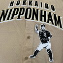 納期注意【日本ハム 刺繍ワッペン 石川 シルエット3】石川亮/応援歌/ユニフォーム/日ハム/ファイターズ/