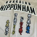 納期注意【日本ハムファイターズ 刺繍ワッペン 清水 応援歌】清水優心/ユニフォーム/日ハム/ファイターズ/刺しゅう/ワッペン【SG】
