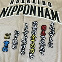 納期注意【日本ハムファイターズ 刺繍ワッペン 實松 応援歌】實松一成/ユニフォーム/日ハム/ファイターズ/刺しゅう/ワッペン【SG】