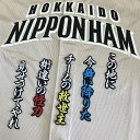 納期注意【日本ハムファイターズ 刺繍ワッペン アルシア 応援歌】オズワルド・アルシア/日ハム/ファイターズ/刺しゅう/ワッペン【SG】