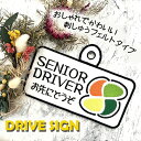 【シニアドライバー 2 吸盤 刺しゅうタイプ】ドライブサイン/ドライブレコーダー/ステッカー/高齢者/シルバー/四つ葉マーク/車/ドライブレコーダー搭載車/おし...