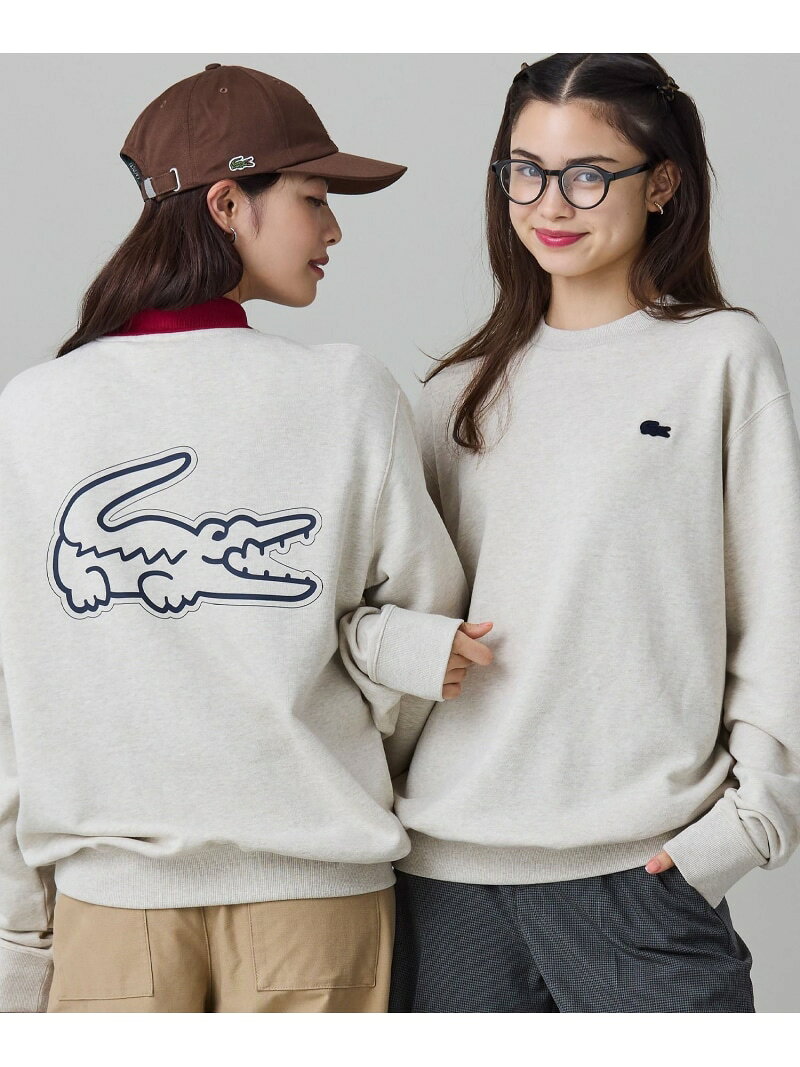楽天市場】lacoste(ラコステ) サイズ3の通販