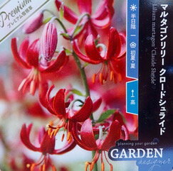 マルタゴンリリー クロードシュライド