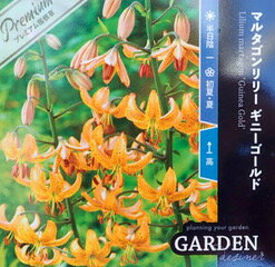 マルタゴンリリー ギニーゴールド