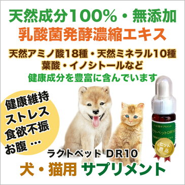 犬 猫 ネコ ねこ ペット用 サプリメント 乳酸菌 酪酸 発酵食品 天然成分100％ 無添加 アミノ酸 ミネラル クレンズフード 濃縮エキス 日本製 国産 ラクトペットDR10 Made in Japan