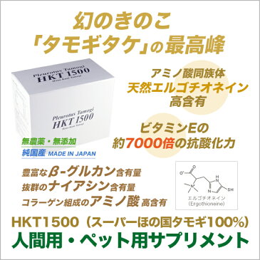 タモギタケ たもぎ茸 スーパーほの国タモギ βグルカン ナイアシン コラーゲン アミノ酸 糖タンパク質 エルゴチオネイン アンチエイジング 人間用 ペット 犬 猫 サプリメント 日本製 国産 HKT1500 glycoprotein proteoglycan Made in Japan