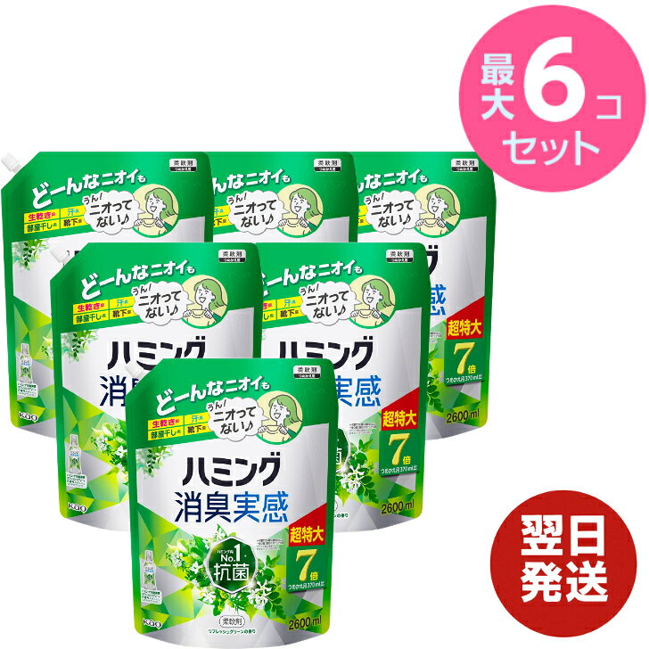 【 最安値に挑戦 】 ハミング 消臭実感 リフレッシュグリーン の香り 詰替え 2600mL × 6袋 4袋 2袋 詰め替え 柔軟剤 花王 つめかえ用 2000ml 洗濯柔軟剤 消臭実感 ハミング ローズ 柔軟 剤 詰替え バラ 薔薇の香り フローラル 部屋干し 抗菌 フローラ 生乾き臭 kao 詰替