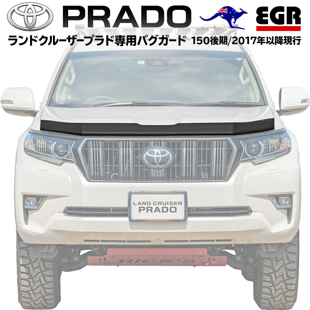 TOYOTA トヨタ 純正 フロントガーニッシュ クロムメッキ 08401-B1010 / パッソ ( M700A M710A )