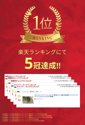 プラド150インナーメッシュラック車内用ラック前期中期後期ランドクルーザープラドLandCruiserPRADO専用設計カスタムパーツ取付説明書付左右セット