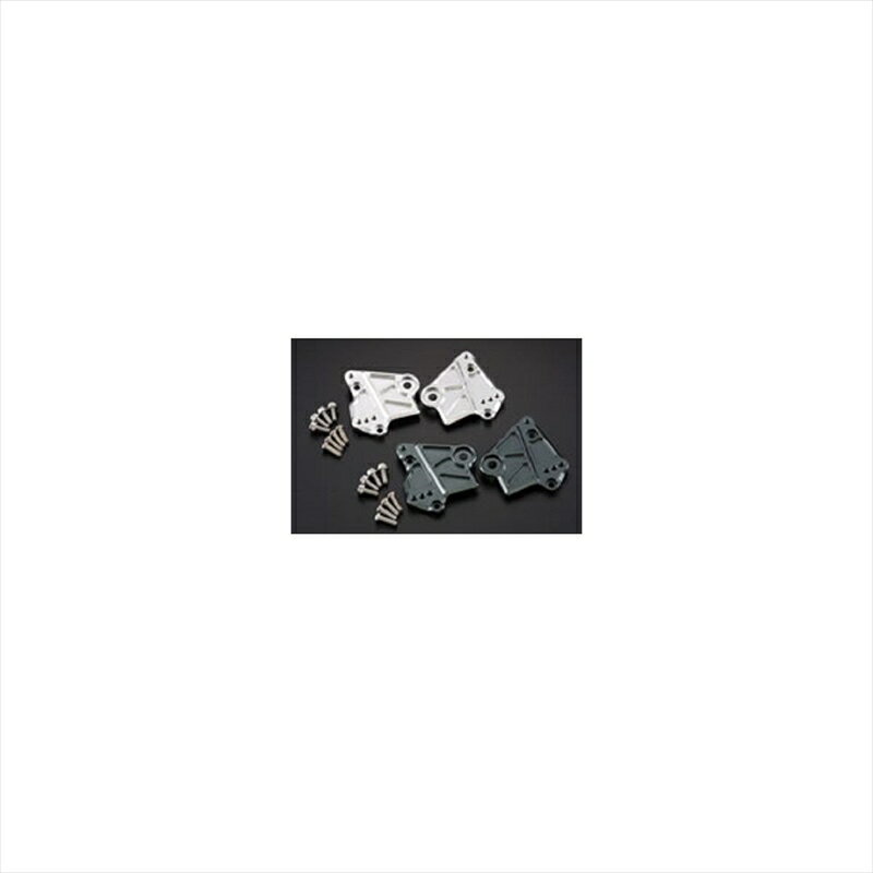 バイク用品 ステップシフトアップ シフトアップ ガセットステップアッププレート SLV NSF100210075-03 4582246480519取寄品 セール