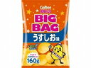 カルビー ポテトチップス うすしお味 ビッグ 160g x12