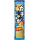 【大特価/数量限定 賞味期限2025年12月】ブルボン ガチじゃが うま塩味100g×10