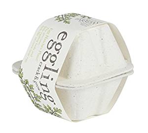 エッグリング エコフレンドリーイタリアンパセリ×36