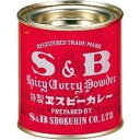S&B 缶カレー 37g×10