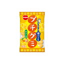 【大特価 賞味期限2025年】明治ガム プチグミみかん16g×20