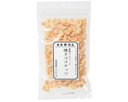 富澤商店　富澤のスナック　焼きココナッツ / 100g