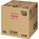 LION キレイキレイ 薬用泡ハンドソープ　シトラスフルーティ　詰替　10L×1