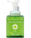 熊野油脂 ファーマアクト 薬用泡ハンドソープ ボトル 250ml×1