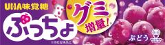 味覚糖　ぷっちょ　ぶどうスティック10粒　×10