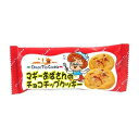 やおきん マギーおばさんのチョコチップクッキー×30