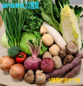 【冬季の為常温発送です】野菜セット　送料無料　10種類　約5kg　市場　農家　国産　詰め合わせ　安心　安全　ギフト　おまかせ　安い　採れたて　野菜BOX　訳あり　新鮮