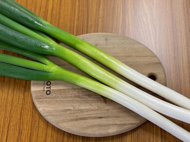 長ねぎ1本　【野菜セット同梱で送料無料】ネギ　葱