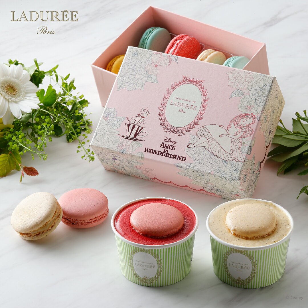 【LADUREE 公式】 ラデュレ マカロン アイスクリーム ソルベギフトセット アリス ディズニー サマーギフト お中元 帰省土産 手土産 スイーツ お菓子 洋菓子 プレゼント お返し ギフト 贈り物 詰め合わせのサムネイル