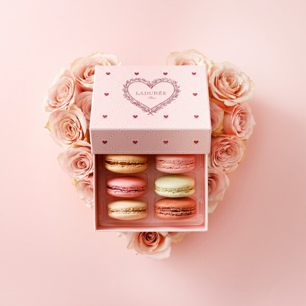 【LADUREE 公式】 ラデュレ プティ・クール マカロン 6個入り バレンタイン 送料無料 スイーツ ギフト プレゼント かわいい お祝い 高級 通販 贈り物 詰め合わせ お菓子 焼き菓子 洋菓子 有名のサムネイル