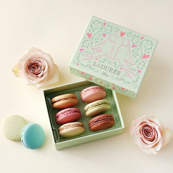 【LADUREE 公式】 ラデュレ プティ・コロンブ マカロン 6個入り 送料無料 スイーツ ギフト プレゼント かわいい お祝い 高級 通販 贈り物 詰め合わせ お菓子 焼き菓子 洋菓子 有名 ホワイトデーのサムネイル