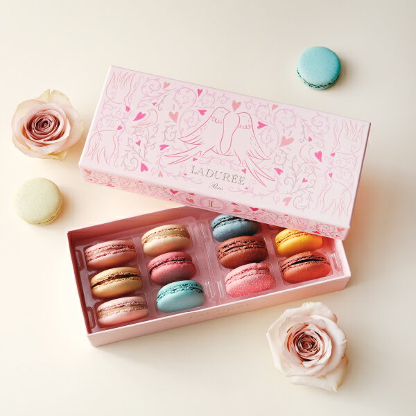 【LADUREE 公式】 ラデュレ プティ・コロンブ マカロン 12個入り 送料無料 スイーツ ギフト プレゼント お祝い 通販 贈り物 詰め合わせ BOX お菓子 焼き菓子 洋菓子 有名 ホワイトデーのサムネイル