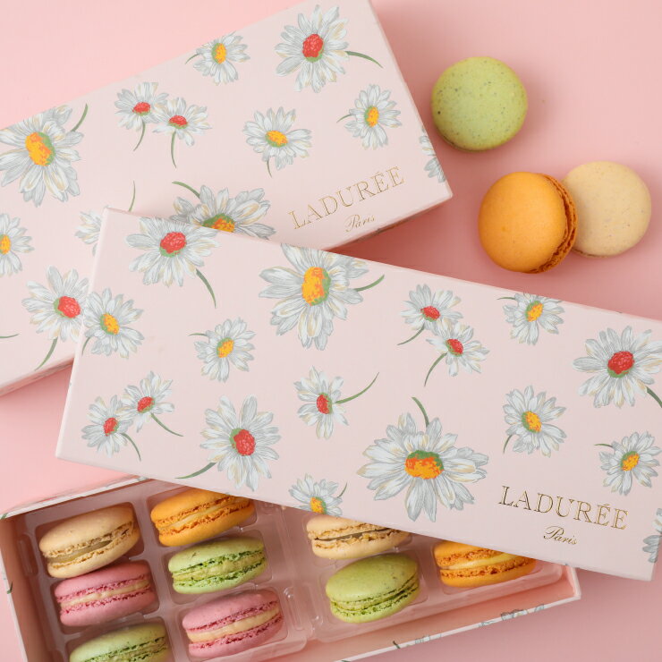 【LADUREE 公式】 ラデュレ マルグリット マカロン 12個入り 送料無料 スイーツ ギフト プレゼント お祝い お礼 お返し 通販 贈り物 詰め合わせ ...