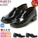 yԌ5%OFFN[|zn^ [t@[ w C { L 3E EEE ubN W}CJ   HARUTA 4565 v wZ w XN[ ʊw fB[X y1911z