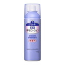 【医薬部外品】ブローネ　薬用育毛ローションN　無香料　　180g　