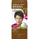 【医薬部外品】ルシード ワンプッシュカラー ライトブラウン 100g