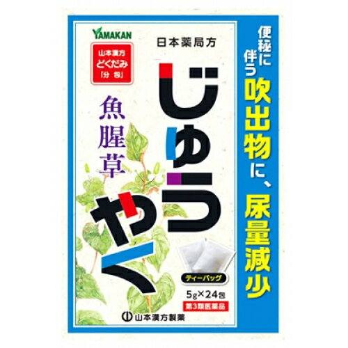 日本薬局方　ジュウヤク（5g×24包）