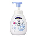 【医薬部外品】花王 ビオレu 泡ハンドソープ 大容量 ポンプ 500ml※取り寄せ商品 返品不可