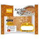 ロングライフス パイシーカレーパン×10個