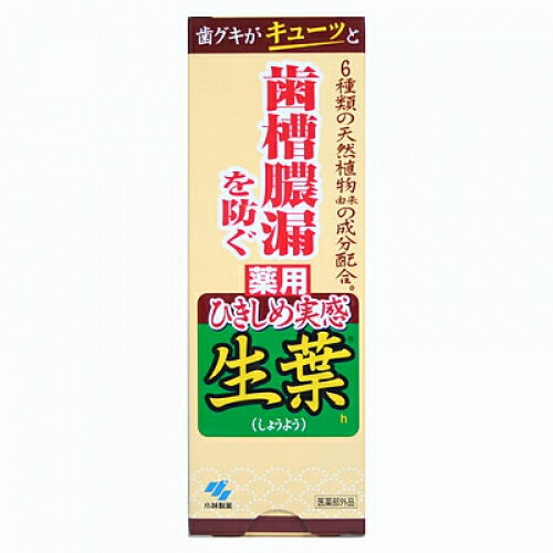 【医薬部外品】小林製薬 ひきしめ実感 生葉 100g