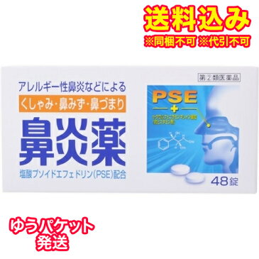 ゆうパケット)【第(2)類医薬品】鼻炎薬A クニヒロ 48錠
