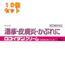【第(2)類医薬品】ロコイダンクリーム 16g【セルフメディケーション税制対象】×10個
