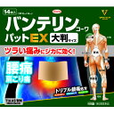 【第2類医薬品】バンテリンコーワパットEX　大判サイズ　14