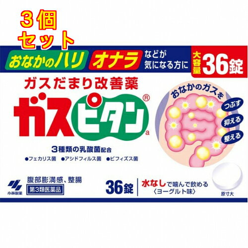 【第3類医薬品】ガスピタン　36錠×3