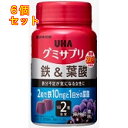 グミサプリ 鉄&葉酸 30日分×6個
