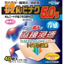 【第2類医薬品】オムニードFBプラスターα 40枚【セルフメディケーション税制対象】×5個