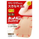 カットバン ジャンボサイズ Lサイズ 5枚