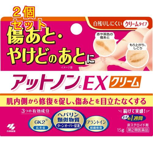 【第2類医薬品】アットノンC EX　クリーム　15g×2個