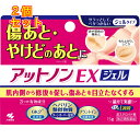 【第2類医薬品】アットノンEX ジェル 15g×2個