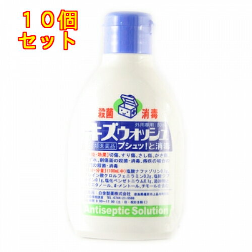 キズウォッシュ　80ml×10個