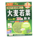 大麦若葉 粉末100% 170g(4)